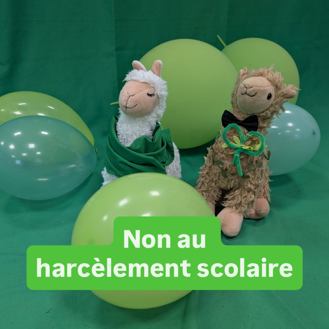 Non au harcèlement scolaire