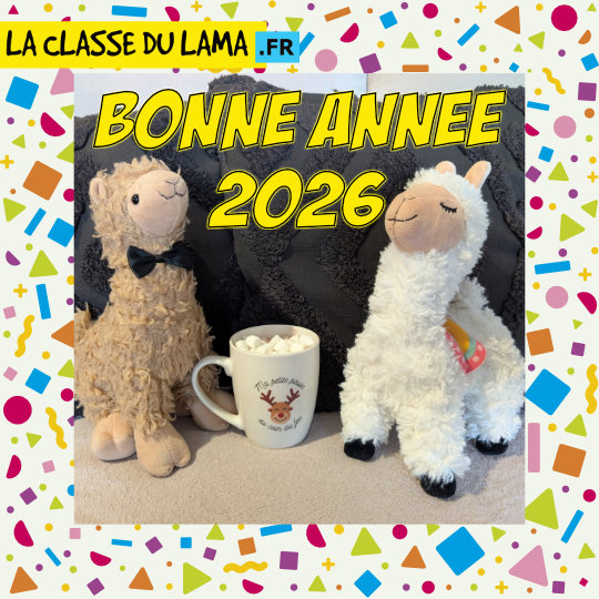 Bonne année