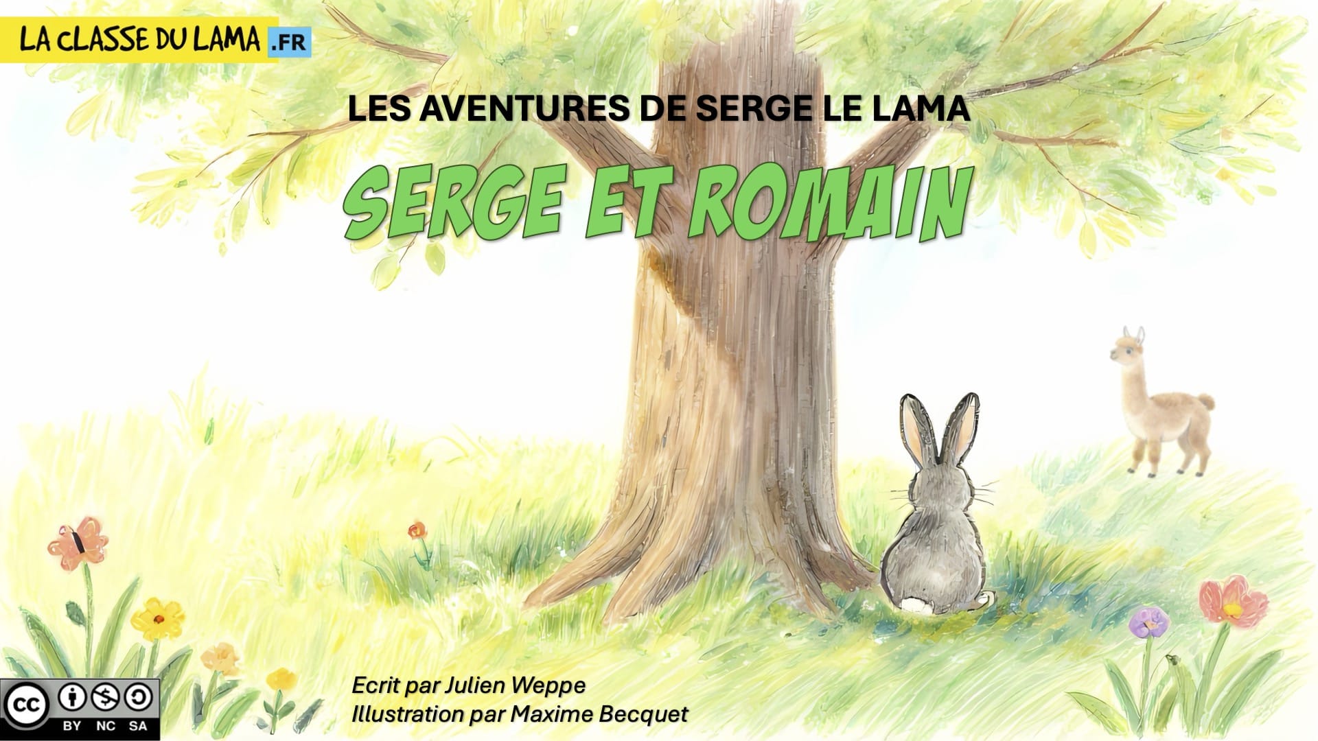 Nouvelle histoire : Serge et Romain